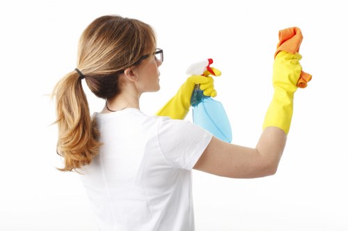 Detailed dust removal on surfaces during an after builders clean