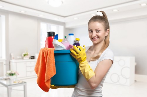 Bathroom cleaning during a guest turnover in Kennington